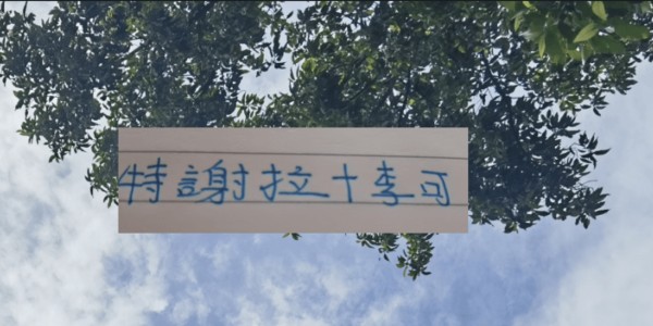 有利物浦青训血统特谢拉+阿森纳基因李可 能否帮申花撑过六月吗